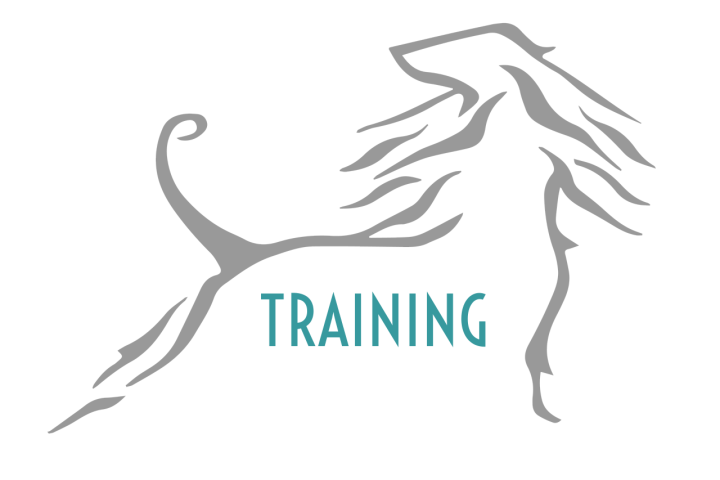 Training am 08.11.2025