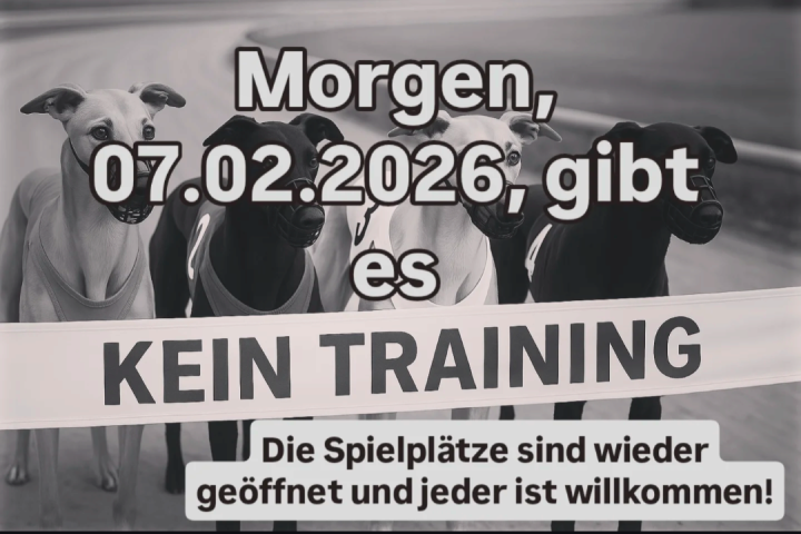 Training am 07.02.2026